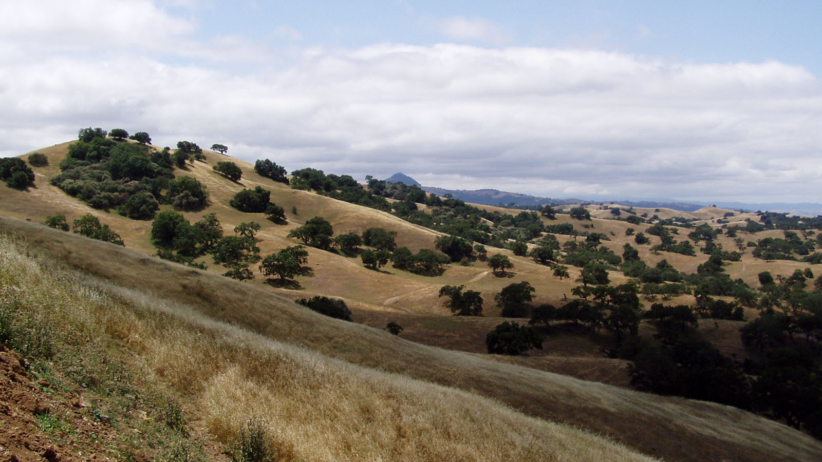 Clark Company Rancho El Toro